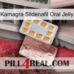 Kamagra Sildenafil Oral Jelly new13